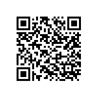 如何正确购买凸轮转子泵