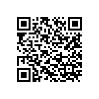 凸轮转子泵与罗茨泵哪个机械密封更好用