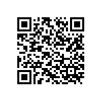 凸轮转子泵轴承保养您做对了吗？