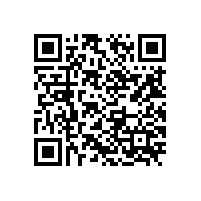 凸轮转子式污泥输送泵磨损问题概述