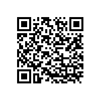 无堵塞转子泵有哪些优势