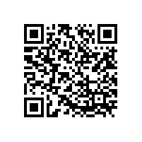 污水提升泵双叶宽头转子的应用