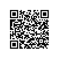 转子泵选型注意事项