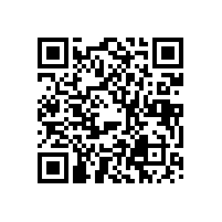 转子泵振动原因分析