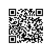 万向轴的膜片联轴器有哪些特点