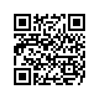 记皖南电机参加第四届安徽省人民政府质量奖评选始末