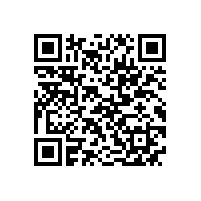 JBT 10105-2017 YZR系列起重及冶金用绕线转子三相异步电动机技术条件(112-400)