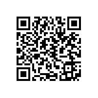 JBT 1012-2017 YY系列电容运转异步电动机 技术条件