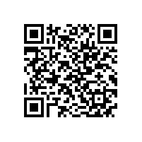 JBT 12729-2016 YKK YXKK系列10kV三相异步电动机技术条件及能效分级(机座号400-630)