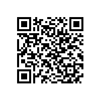 JBT 13299-2017 YE4系列（IP55）三相异步电动机技术条件（机座号80～450）