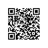 QWN.300-2022 YBX4系列高效率隔爆型三相异步电动机技术条件 (机座号80～355)