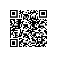 QWN.600-2021 YE3系列(IP55)三相异步电动机技术条件(机座号63～355)