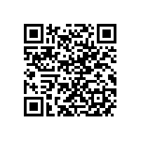 市政府领导来皖南电机调研