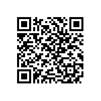 TCMIF 168-2022 无刷双馈高压调速电动机