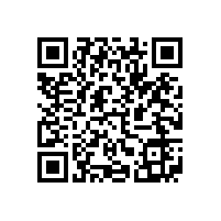 皖南电机导入ISO/TS16949质量体系认证
