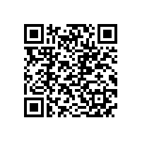 皖南电机科技公司顺利通过质量管理体系认证