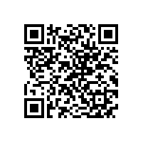皖南电机市场部召开驻外销售经理新春座谈会
