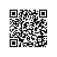 皖南电机顺利通过欧盟REACH认证和ROHS认证