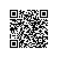 皖南电机样本-NE系列