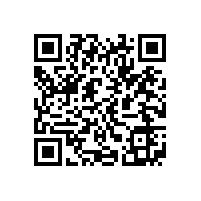 皖南电机样本-YE2系列