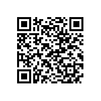 宣城市副市长到皖南电机威能公司视察