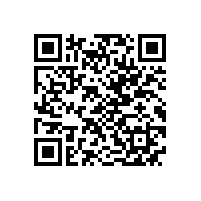 一种电动机再起动方法在石化企业中的应用