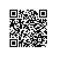 上海办公家具：从上海迪士尼想到的