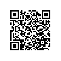 上海百胜软件股份有限公司