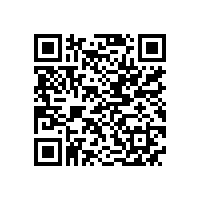 工信部规划司副司长宋志明到公司调研