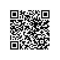 QWN.291-2021 YE4系列(IP55)三相异步电动机技术条件（机座号63～355）2