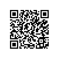 QWN.621-2022 YFBBP 系列粉尘防爆型变频调速三相异步电动机技术条件(机座号80～355)