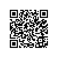 皖南电机党委召开民主生活会