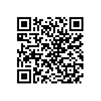 皖南电机为“和谐号”保驾护航