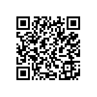 皖南电机威能公司荣获 2015年度宣城市“市长质量奖”