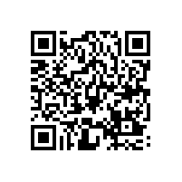 皖南电机样本-YBS系列