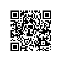 皖南电机样本-YBX3系列（CT4）