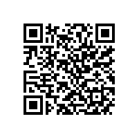 中机企协常务副会长杨一平来皖南电机调研指导