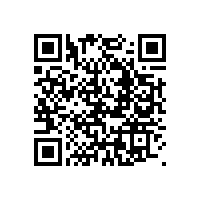 办公家具个性“山寨”办公家具毒瘤