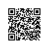 办公椅办公家具传统办公家具