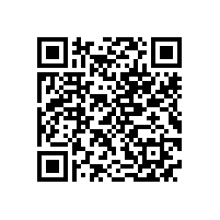 NS系列超高效不锈钢电机