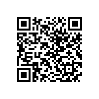 QWN.211-2021 YJZ2系列机床专用三相异步电动机技术条件（机座号80～355）