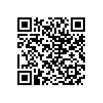 我国多种高效节能电机的发展状况