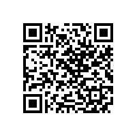 皖南电机党委召开 纪念“七一”暨“两先一优”表彰会