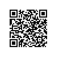 皖南电机举办销售经理新春座谈会