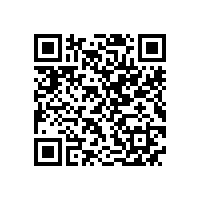 YX3高效电机和YE2高效电机的区别