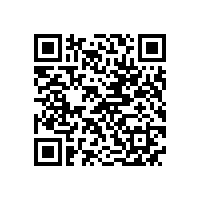 高压电机与低压电机相比有哪些优缺点