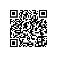 QWN.211-2021 YJZ2系列机床专用三相异步电动机技术条件（机座号80～355）