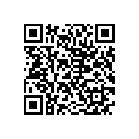 我国多种高效节能电机的发展状况