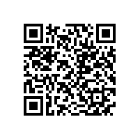 皖南电机获“平安企业”称号