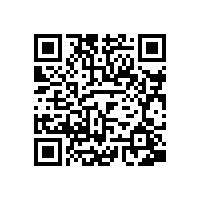 皖南电机举办销售经理新春座谈会